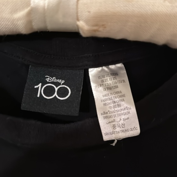 Walt Disney World Disney 100 Shirt - Picture 4 of 5